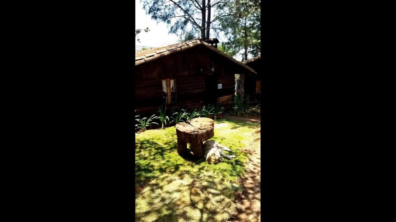 Cabanas Los Venados Mazamitla Buitenkant foto
